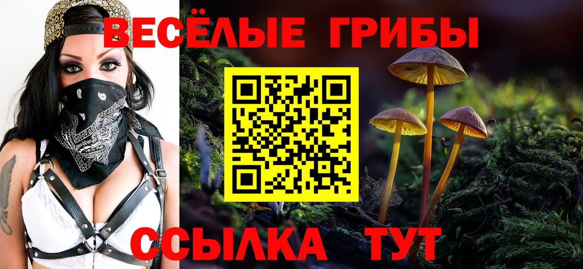 Псилоцибиновые грибы Psilocybe  Галлюциногенные грибы мухоморы  Вход с VPN  Нововоронеж 